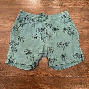 Tea Collection boys shorts size 8